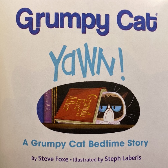 Yawn! A Grumpy Cat Bedtime Story A Little Golden Book Hardcover By Steve Foxe - Picture 3 of 9